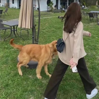 孟山都眼中的世界